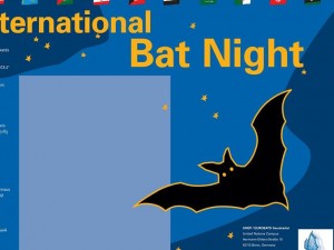 International Bat Night 