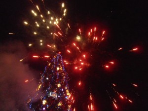  Lighting Christmas tree lights in Sofia