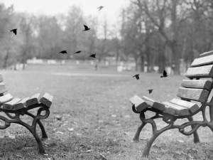 Reinvented Film Photography