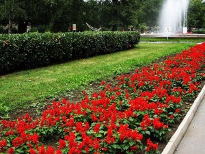 Summer arts and cultural events program in Sofia