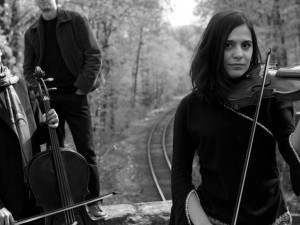 Sofia Chamber Music Festival Adzhitato '2016