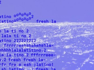 Video installation Freshlatino2 