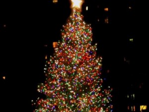 Sofia Christmas tree lits