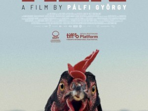 Дом на културата "Красно село": "София Филм Фест" гостува с прожекция на "Кокошка" 